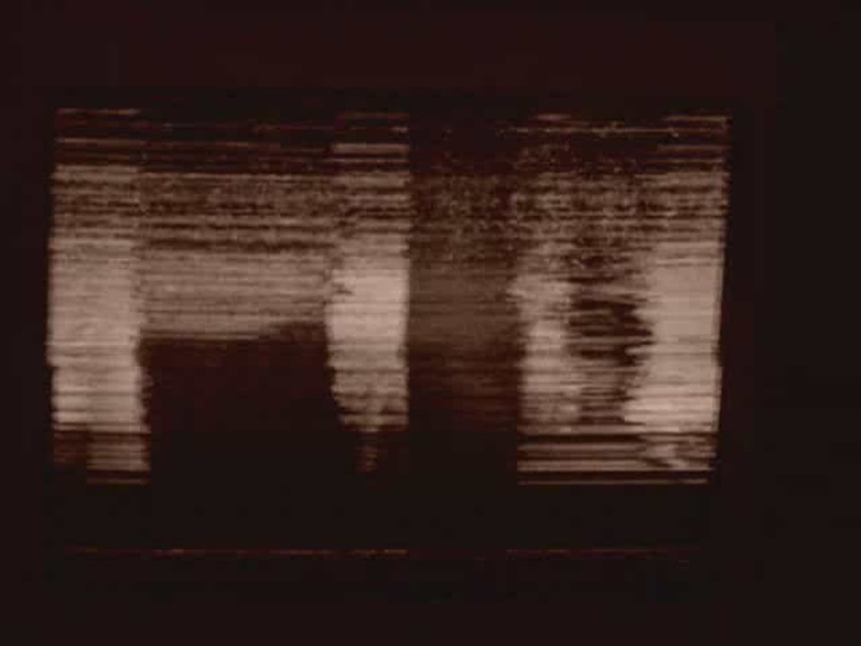 ETHNOLOGICAL ENCODING