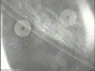 NASA cameras hunt UFOs