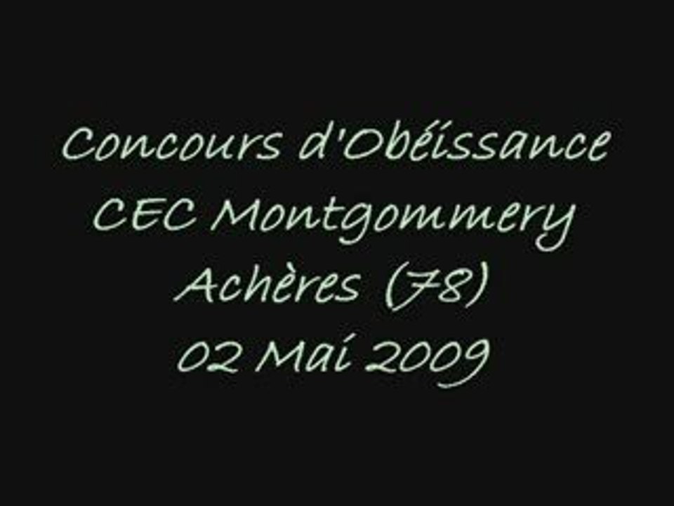 Brevet obéissance Angy 02 Mai 2009