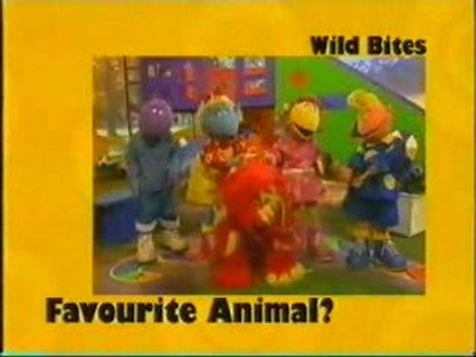 CBBC1 Afternoon Continuity - Wild Week 2001