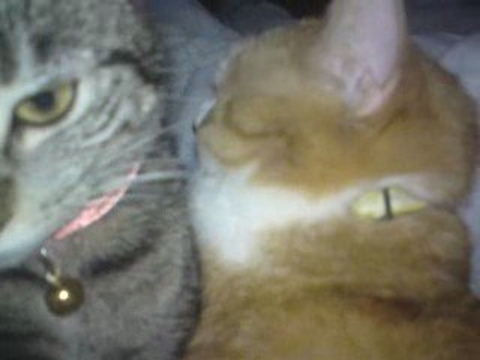 Kira en jane op bed