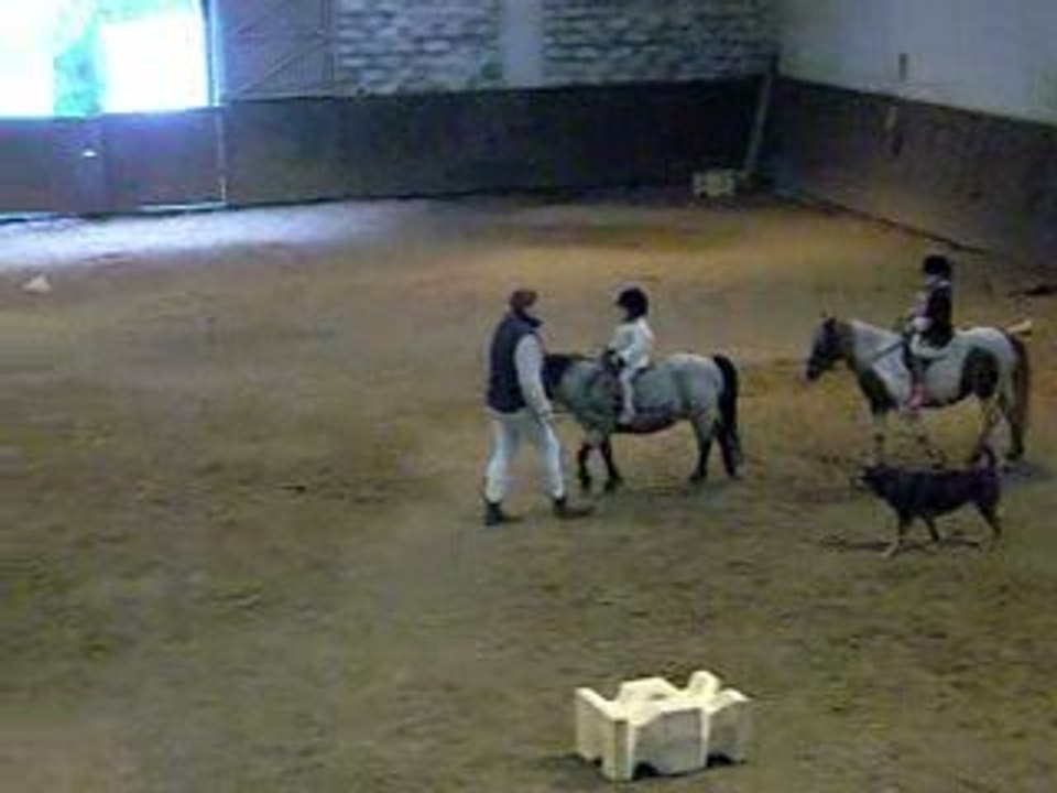 DSCN0475