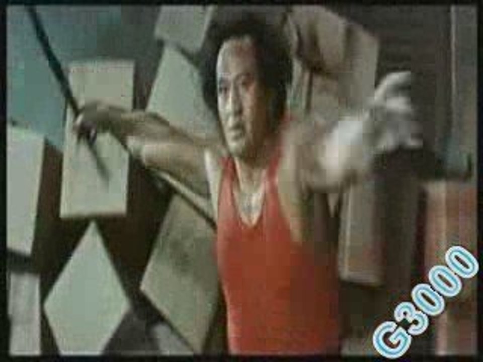 BRUCE LEE THE LEGEND