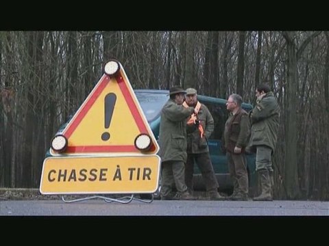 Chasse aux sangliers en fôret de Montmorency