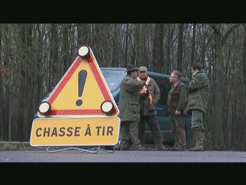 Chasse aux sangliers en fôret de Montmorency