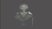 Captive Gray alien Area 51 Extraterrestre Gris