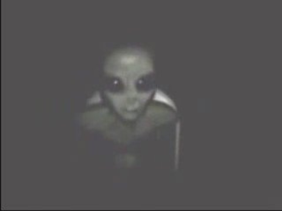 Captive Gray alien Area 51 Extraterrestre Gris