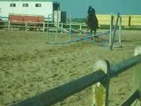 saut de puces a cheval