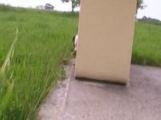 Eclipse trouve une bonne cachette