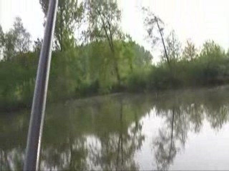 peche esturgeon