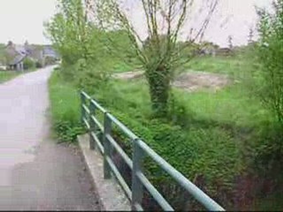 Session angevine part 2