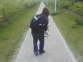 2éme parti du povre chat =D