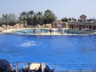 DAUPHINS MARINELAND ANTIBES