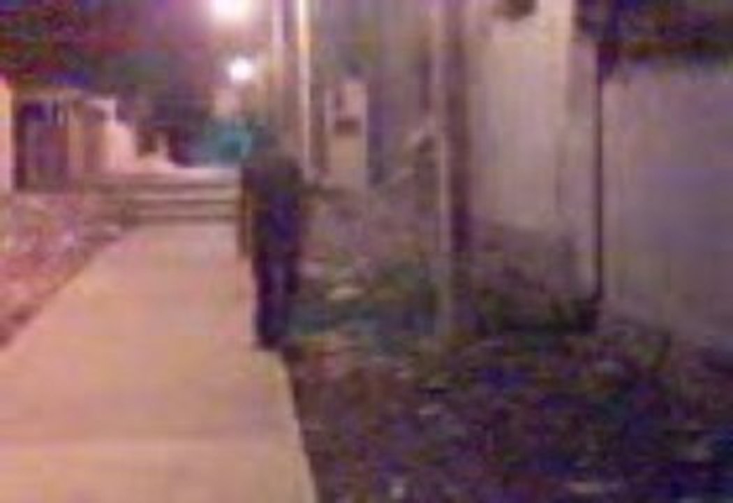 famous Extraterrestre Alien de Merida www.les-ovnis.com