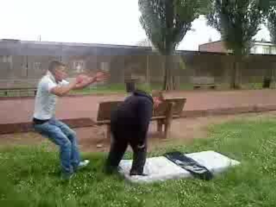 catch nord Bulldog