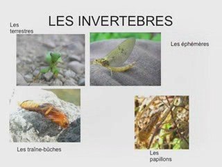 EXPOSE PECHE Thibaut et Léo