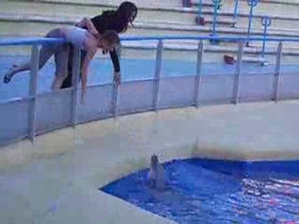 DRESSAGE DE DAUPHINS PAR LAURIANE