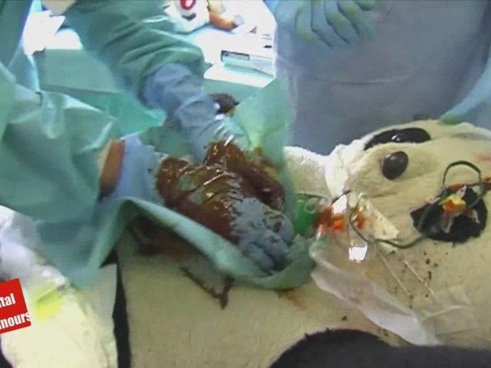 Hôpital des Nounours : Héros du Quotidien