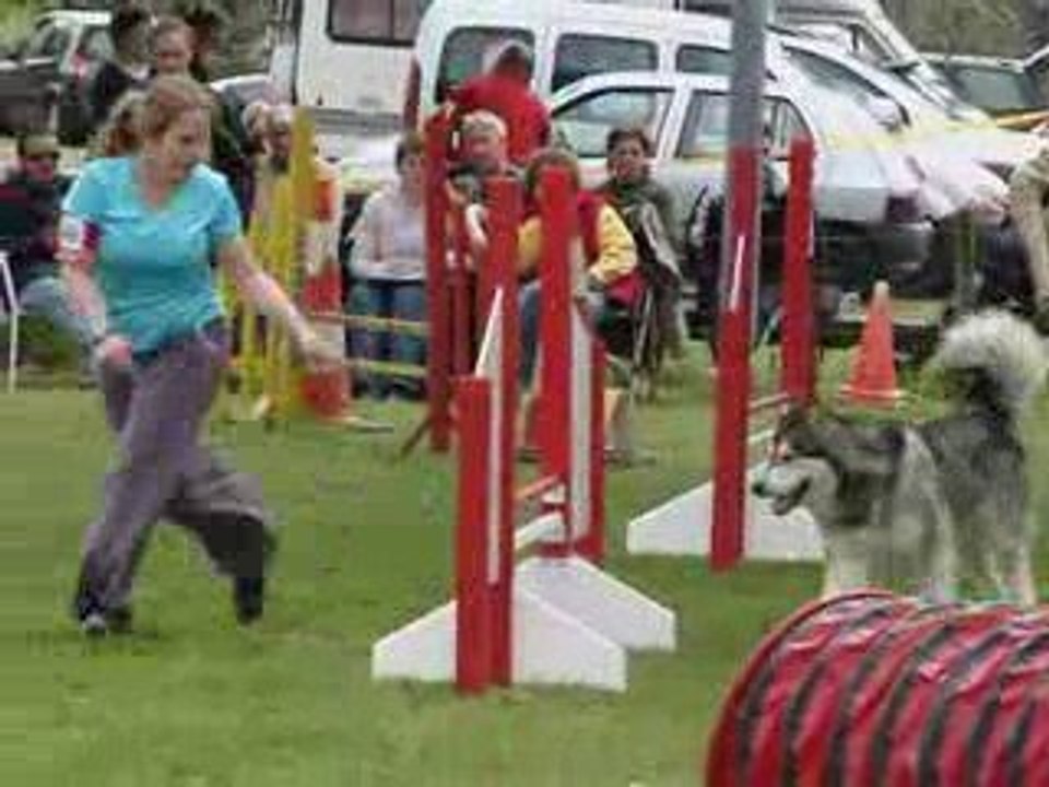 Agility Nogent sur Vernisson