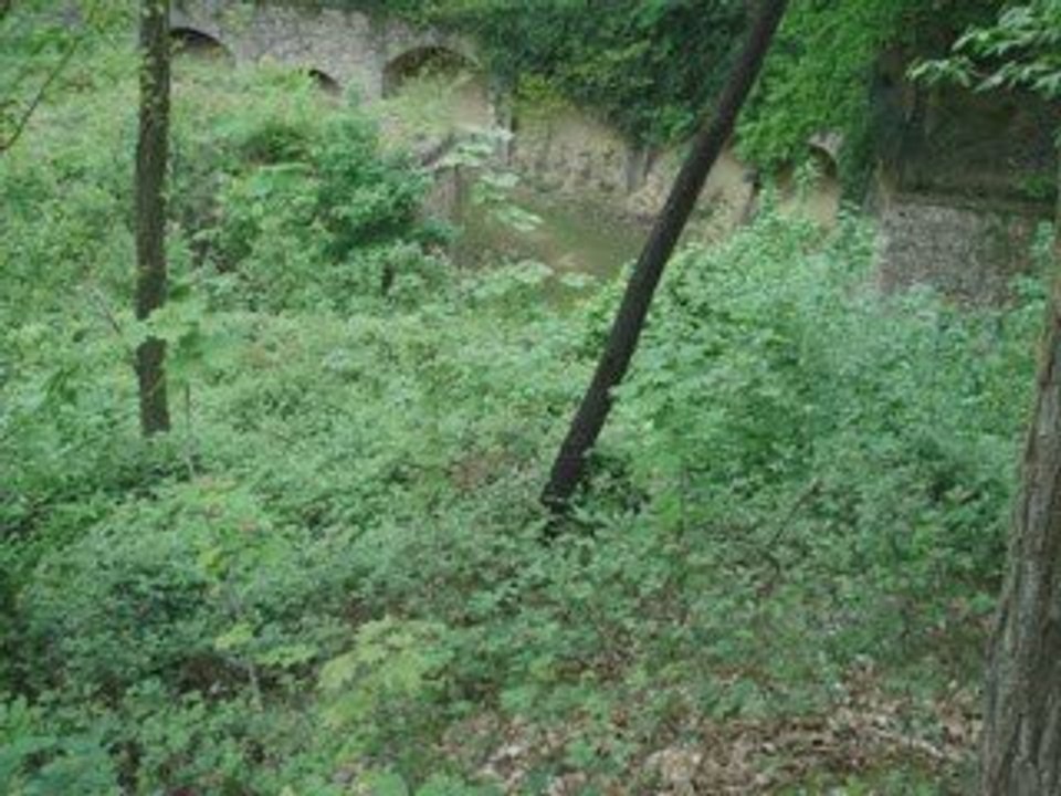 Visite_Fort_Cormeilles-en-Parisis