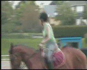 Le Bric a Brac d'Indy