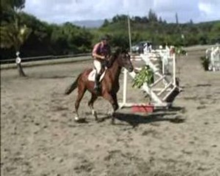 CSO Pourquoi Pas du Kato Intraclub 1m10-1m50