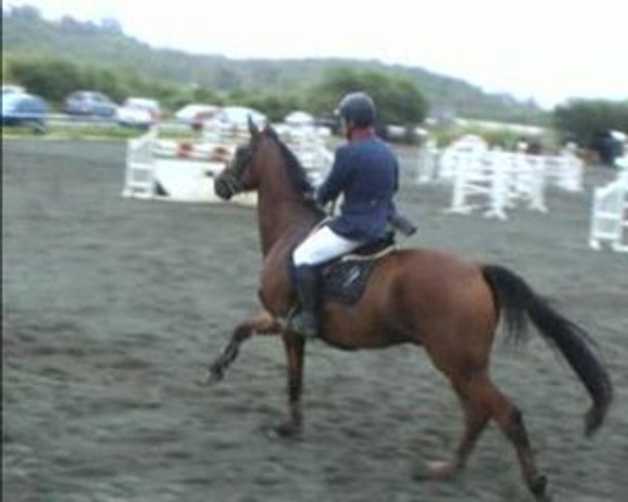 CSO Pourquoi Pas du Kato Pro2 1m35