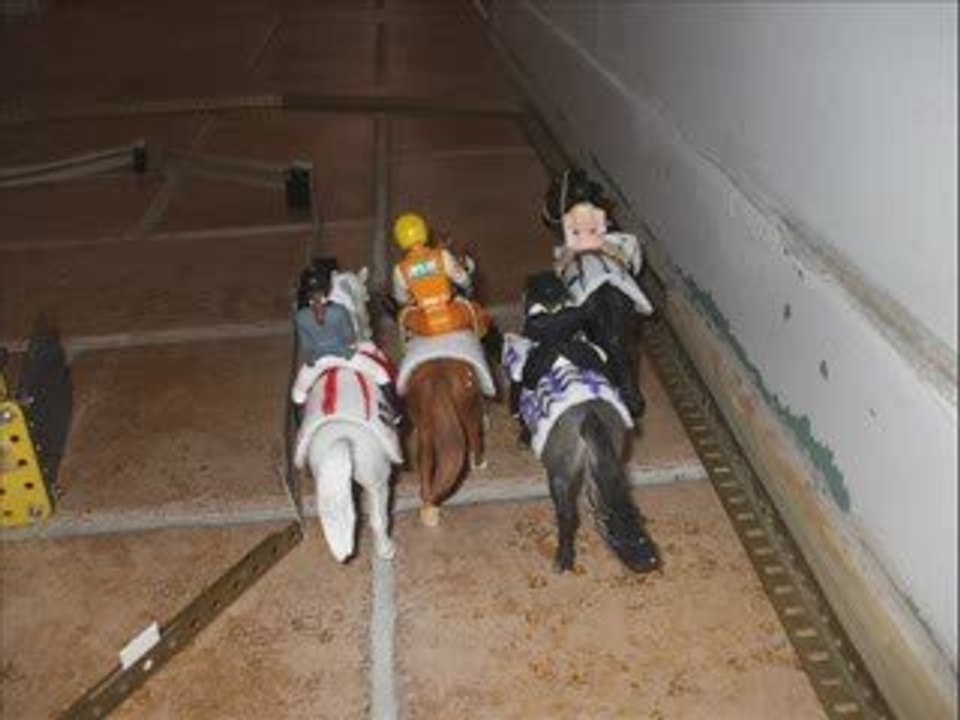 Meccano Stakes