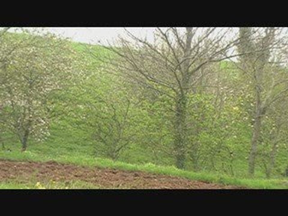 Rallye du val d'agout ES2 1°part 2/05/09 by bob_81