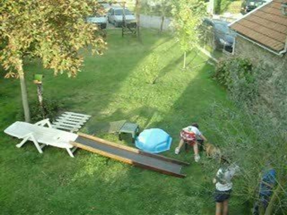 Agility in the garden