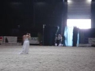 Salon du cheval ciney 115