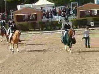 Tour d'Honneur du CDIP de Saumur 2009 reprise "Equipe"