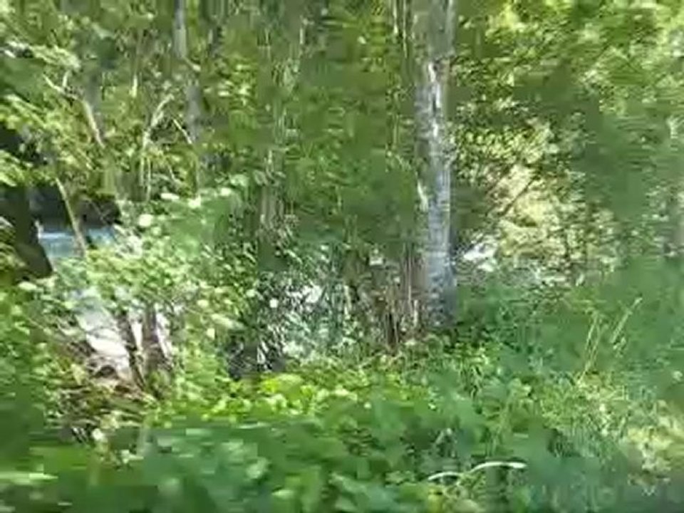 Cullet hongrin gstaad 1