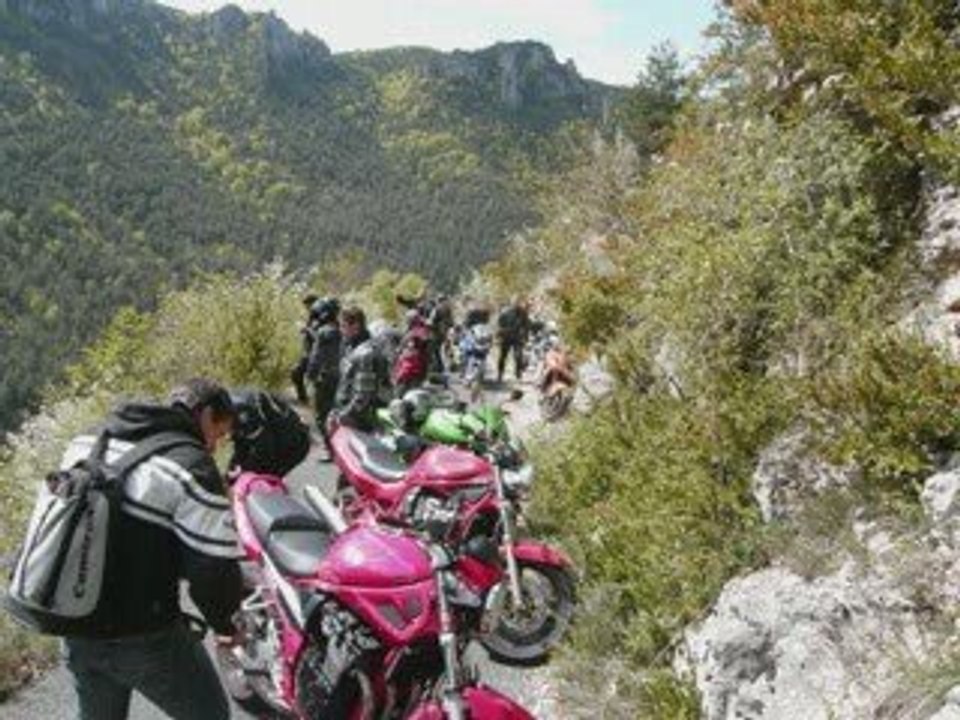 Gorges de la Jonte et du Tarn pêle mêle photo