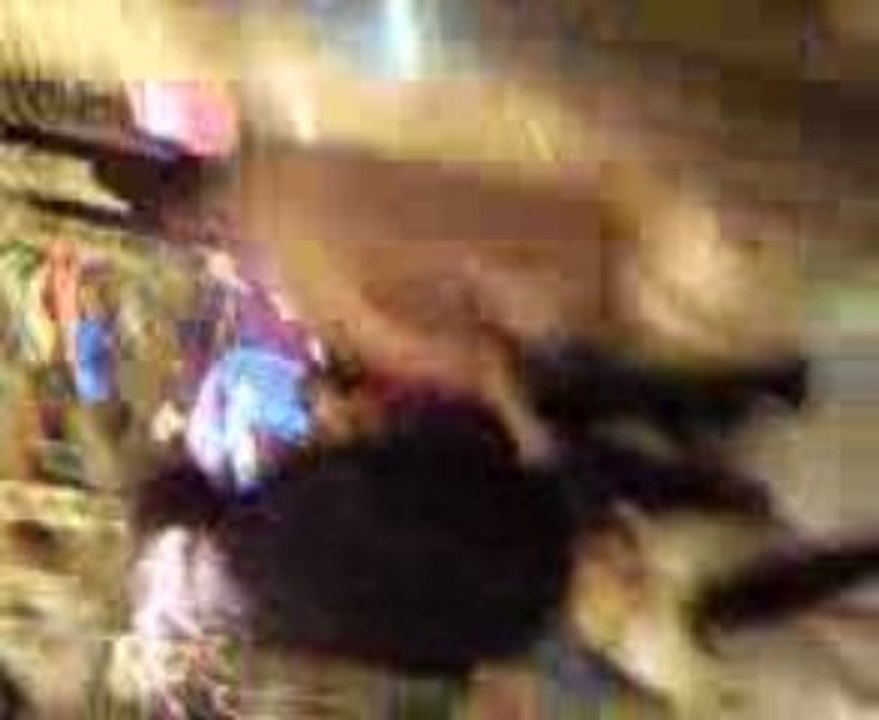 Vidéo0006