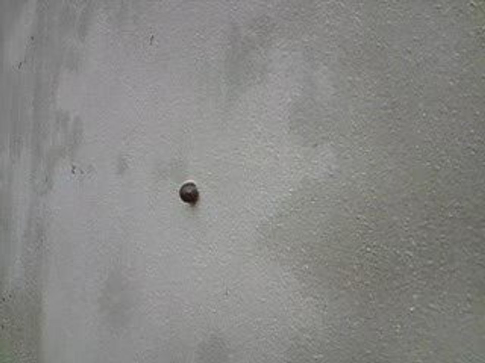 Régis tir au fusil d'assault