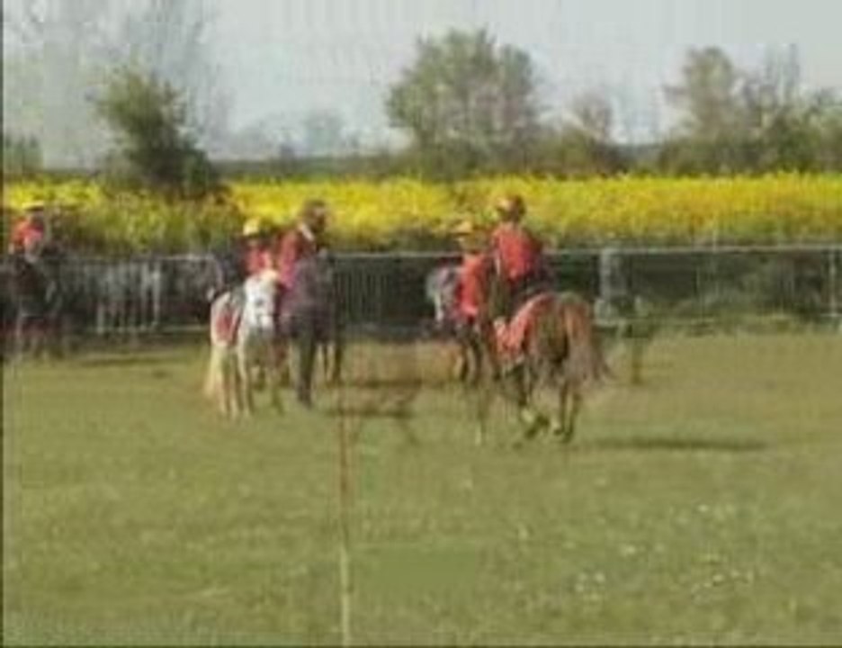 Pony Games Logis Mai 2009 Part 2