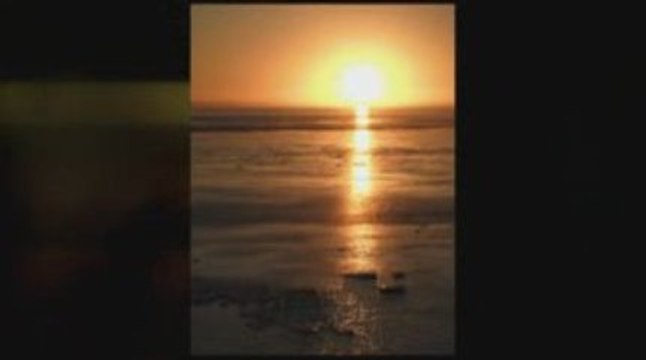 Antiaging Resveratrol