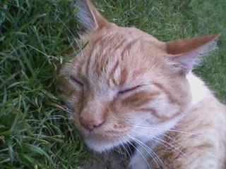 Pour toi mon bébé d'amour