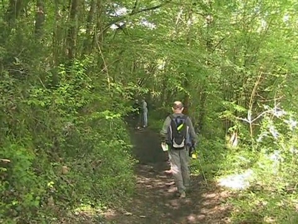 De la promenade à la randonnée