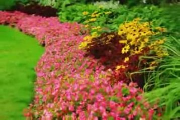 South Jersey Landscaping