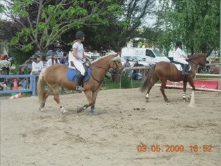 Concours CSO Club E2 Et E1 03.05.2009 Au CE De Magali