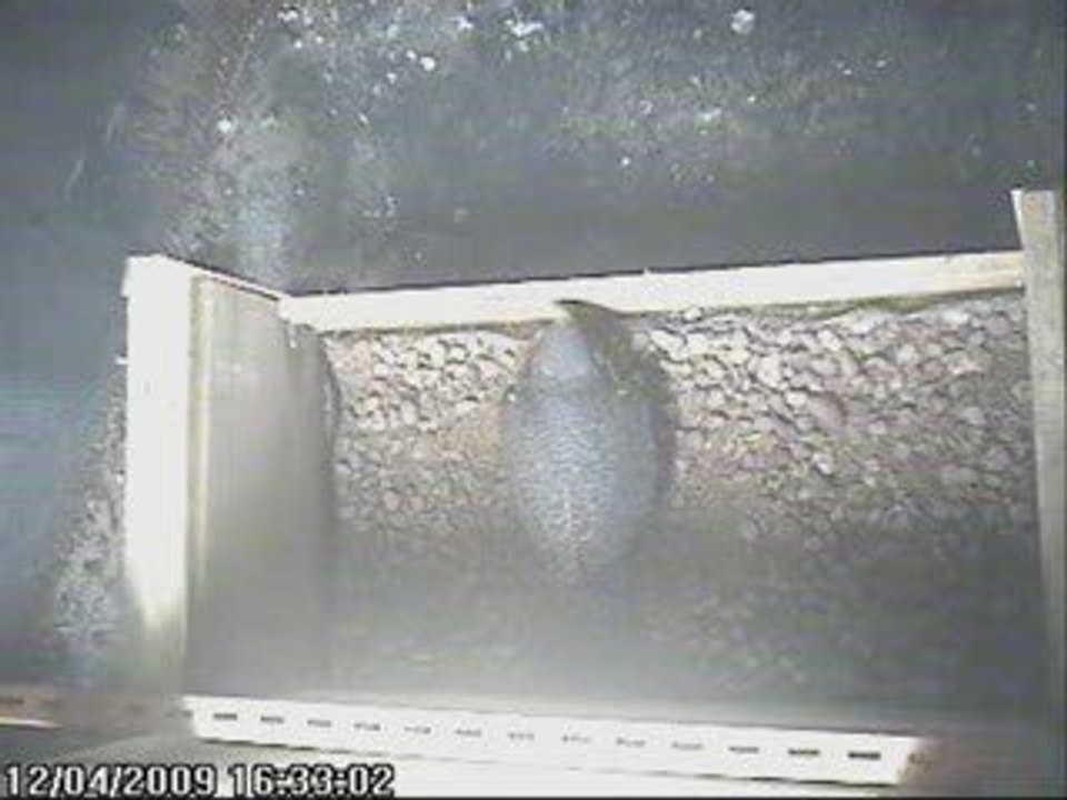 Cam2009a