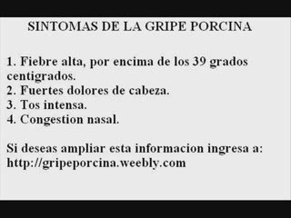 Gripe porcina (h1n1) - sintomas de la gripe porcina y precau