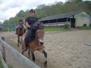 Haras de la chapelle