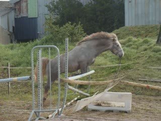 01_05_09 Skwerenn_0001