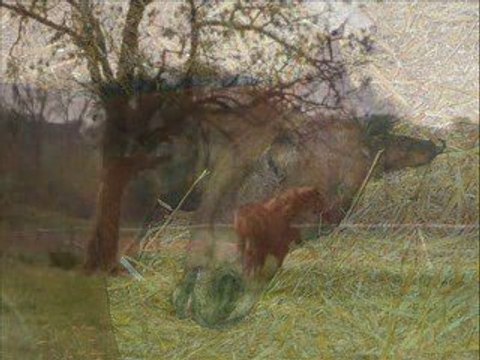 Ma vipsie, mon trésor