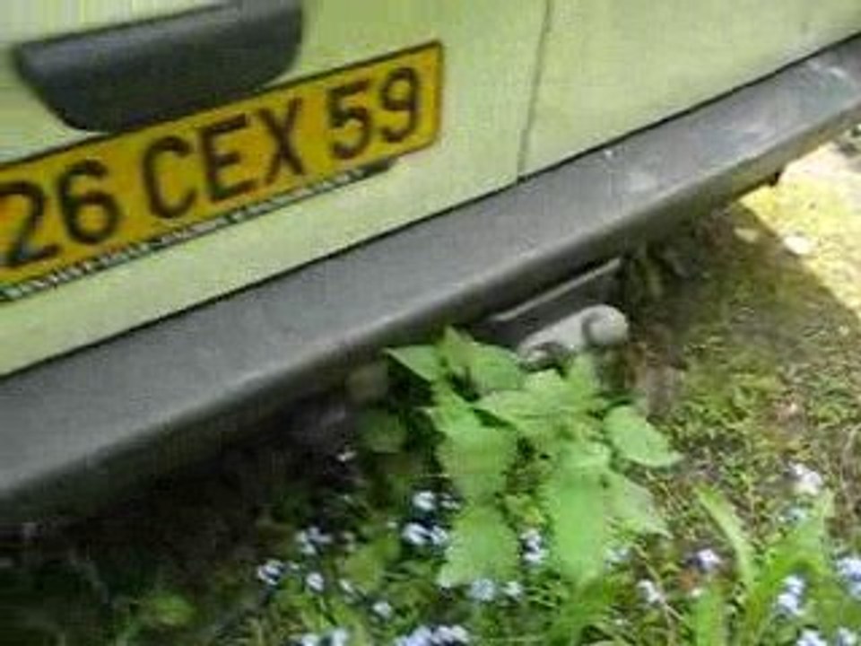 Renault-trafic