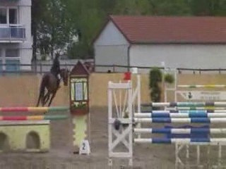 Molsheim 110 pepita