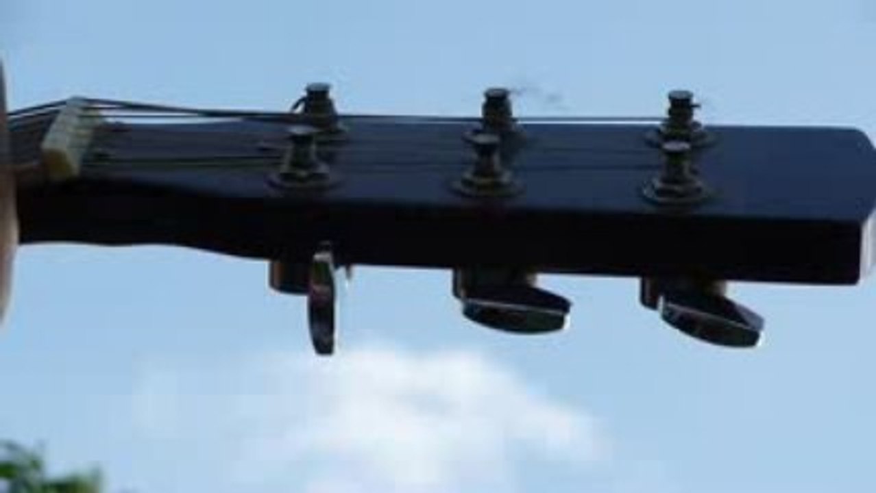 Jardin guitare - 1